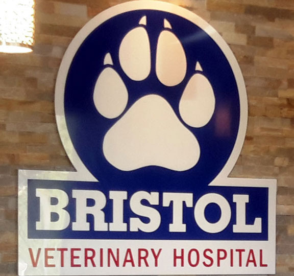 Cutout Logos